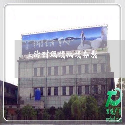 上海村级债权债务表/2023032691692 上海村级债权债务表/2023032691692