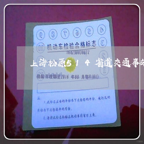 上海松原514省道交通事故/2023032594846