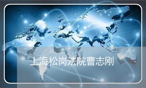 上海松岗法院曹志刚