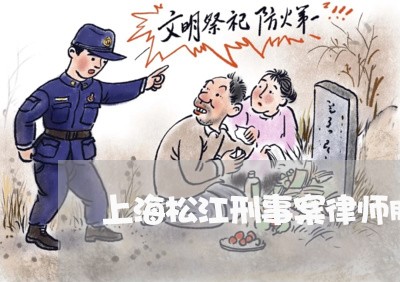 上海松江刑事案律师胜诉率高/2023032574705