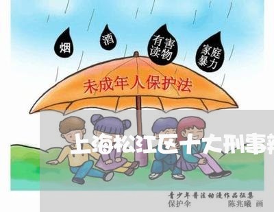 上海松江区十大刑事辩护律师/2023032526160