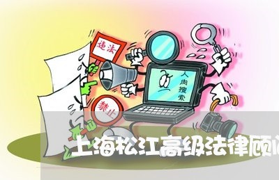 上海松江高级法律顾问服务电话