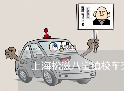 上海松滋八宝镇校车交通事故/2023032550384 上海松滋八宝镇校车交通事故/2023032550384
