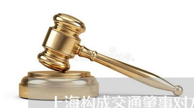 上海构成交通肇事对方不追究/2023032540393