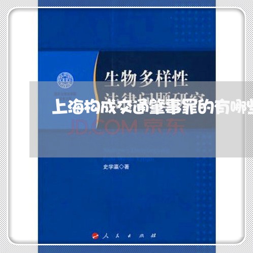 上海构成交通肇事罪的有哪些/2023032583704