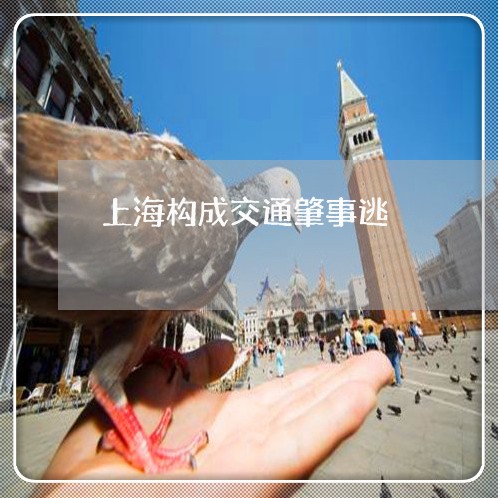 上海构成交通肇事逃/2023032633836 上海构成交通肇事逃/2023032633836
