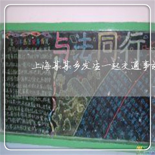 上海某某乡发生一起交通事故/2023032539283