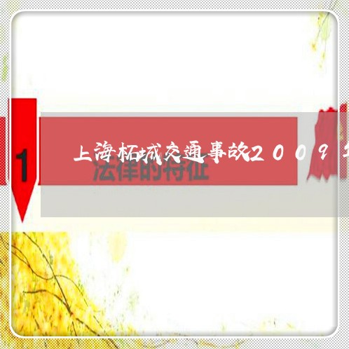 上海柘城交通事故2009年/2023032528360 上海柘城交通事故2009年/2023032528360