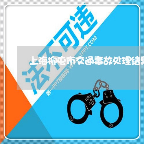 上海柳屯市交通事故处理结果/2023032517048