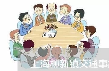 上海柳新镇交通事故/2023032650593