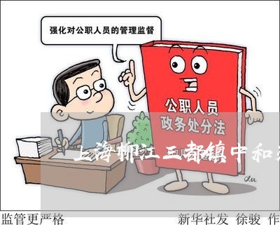 上海柳江三都镇中和交通事故/2023032573785