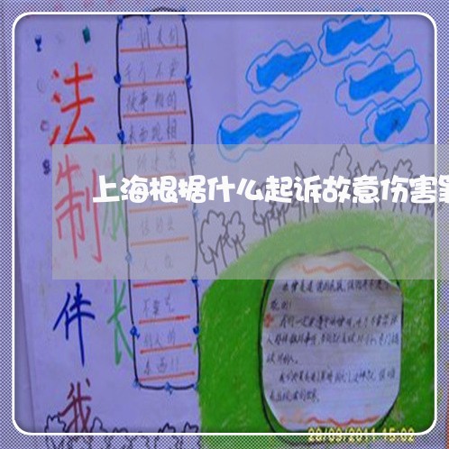 上海根据什么起诉故意伤害罪/2023032526059 上海根据什么起诉故意伤害罪/2023032526059