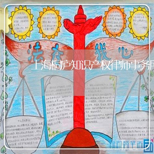 上海桐庐知识产权律师事务所/2023032596036