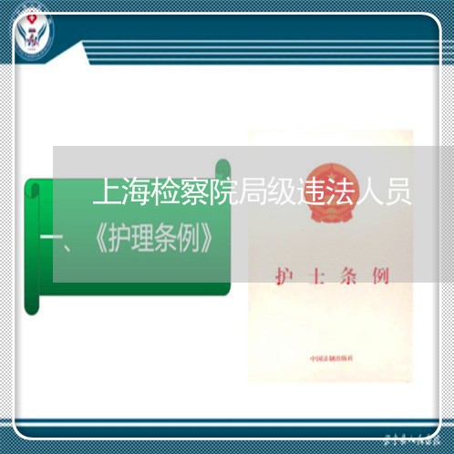 上海检察院局级违法人员 上海检察院局级违法人员