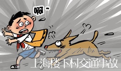 上海楼下村交通事故/2023032648259