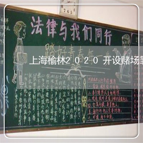 上海榆林2020开设赌场罪/2023032597250