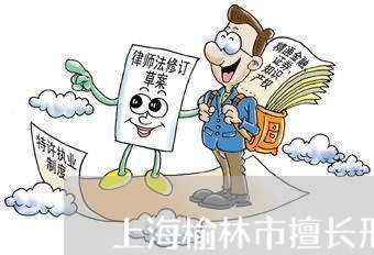 上海榆林市擅长刑事大案律师/2023032520259