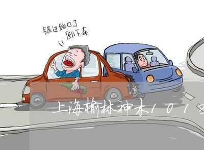 上海榆林神木101交通事故/2023032527168