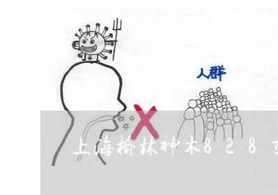 上海榆林神木828交通事故/2023032504926