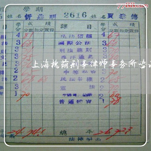 上海槐荫刑事律师事务所咨询/2023032529260