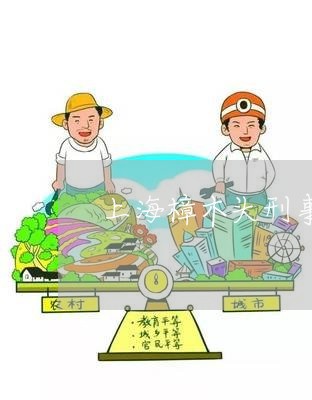 上海樟木头刑事辩护律师报价/2023032571505
