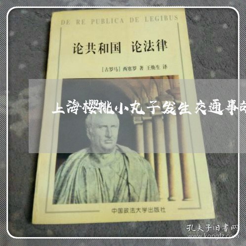 上海樱桃小丸子发生交通事故/2023032548160