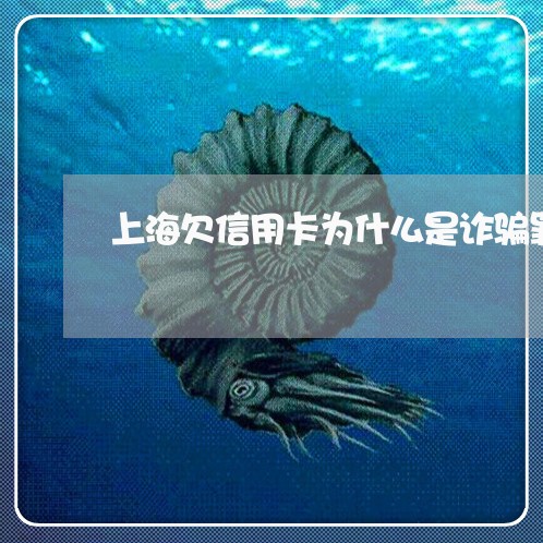 上海欠信用卡为什么是诈骗罪/2023032514259
