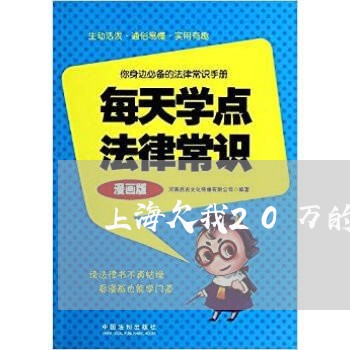上海欠我20万的小舅子离婚/2023032549162