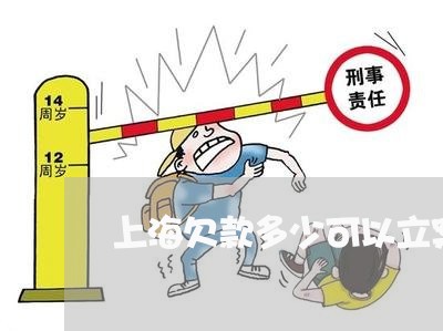 上海欠款多少可以立案诈骗罪/2023032572716