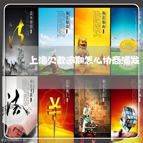 上海欠款逾期怎么协商浦发/2023032649413 上海欠款逾期怎么协商浦发/2023032649413