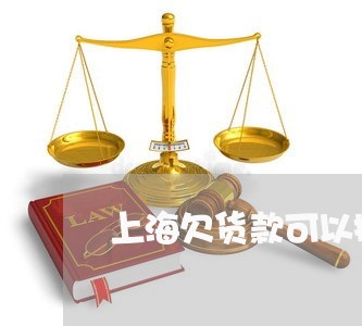 上海欠货款可以按诈骗罪告吗/2023032540351