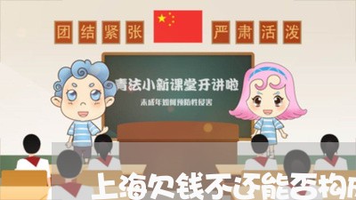 上海欠钱不还能否构成诈骗罪/2023032530717 上海欠钱不还能否构成诈骗罪/2023032530717