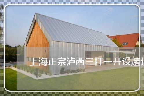 上海正宗泸西三打一开设赌场/2023032531395