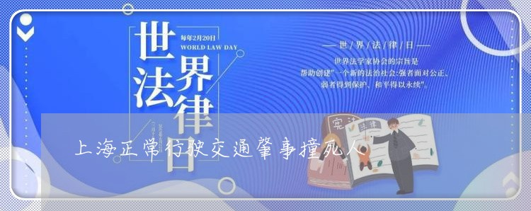 上海正常行驶交通肇事撞死人/2023032537350 上海正常行驶交通肇事撞死人/2023032537350