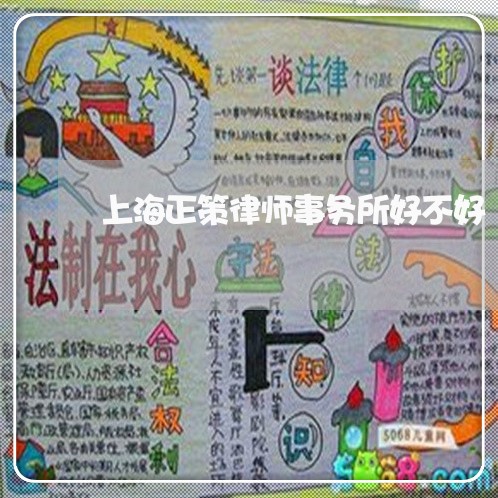 上海正策律师事务所好不好/2023032389482