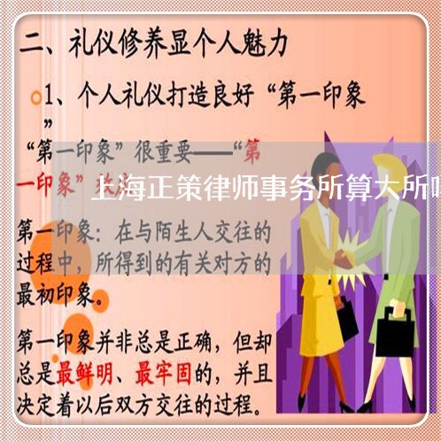 上海正策律师事务所算大所吗/2023032501693