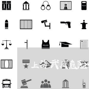 上海武威危险化学品交通事故/2023032505258