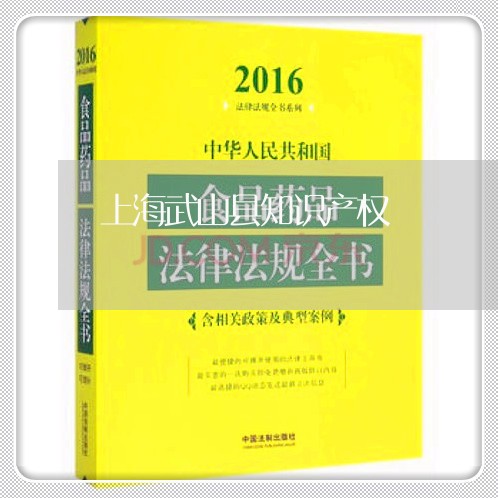 上海武山县知识产权/2023032625159