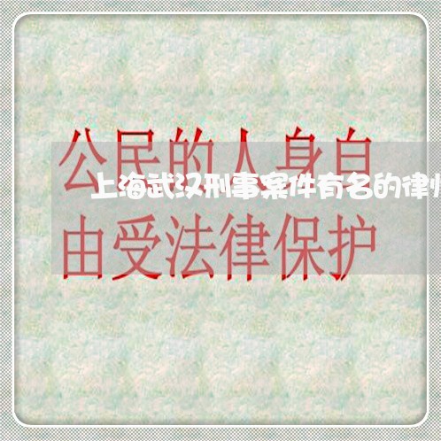 上海武汉刑事案件有名的律师/2023032537240