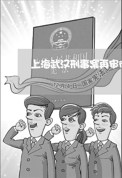 上海武汉刑事案再审律师团队/2023032514816 上海武汉刑事案再审律师团队/2023032514816