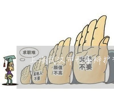 上海武汉市刑事辩护咨询律师/2023032503946