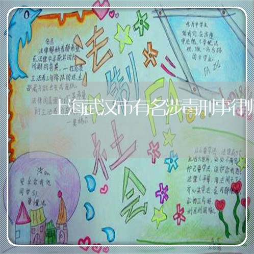 上海武汉市有名涉毒刑事律师/2023032549370 上海武汉市有名涉毒刑事律师/2023032549370