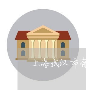 上海武汉市有名涉毒刑事律师/2023032573160 上海武汉市有名涉毒刑事律师/2023032573160