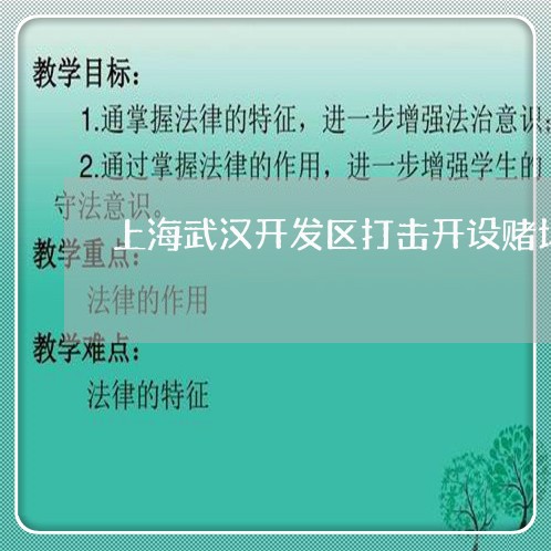 上海武汉开发区打击开设赌场/2023032506927 上海武汉开发区打击开设赌场/2023032506927