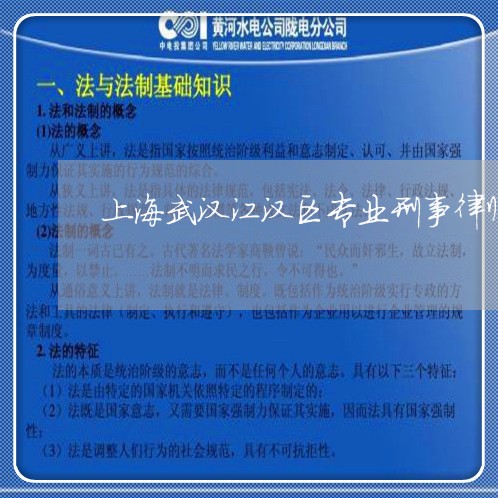 上海武汉江汉区专业刑事律师/2023032594594