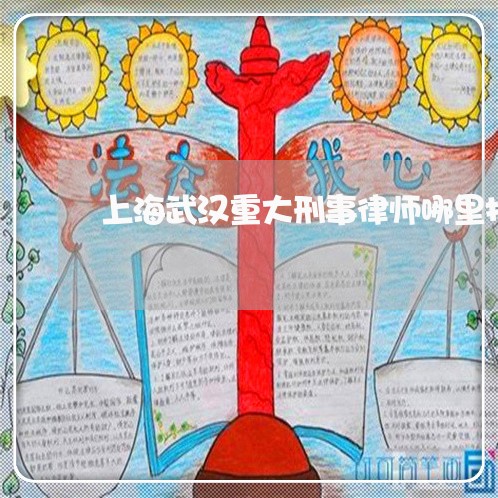 上海武汉重大刑事律师哪里找/2023032607031