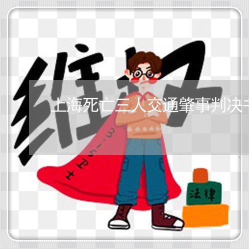 上海死亡三人交通肇事判决书/2023032585816 上海死亡三人交通肇事判决书/2023032585816