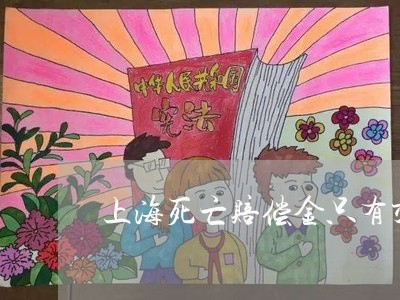 上海死亡赔偿金只有交通肇事/2023032584950