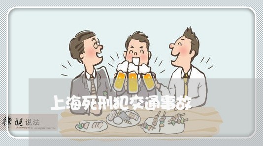 上海死刑犯交通事故/2023032615814 上海死刑犯交通事故/2023032615814