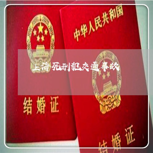 上海死刑犯交通事故/2023032695969 上海死刑犯交通事故/2023032695969